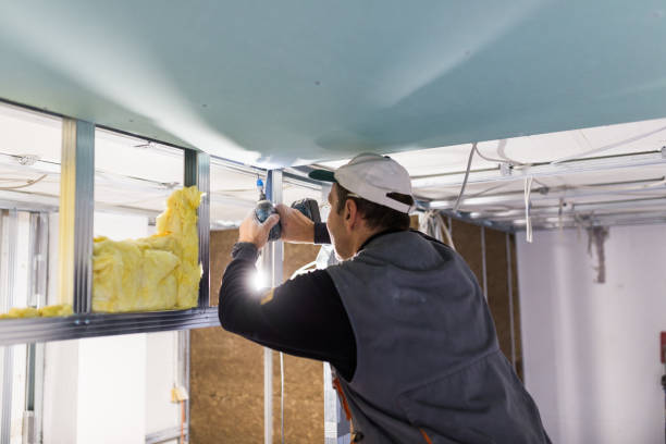 Best Home Insulation Services  in Oak Valley, NJ
