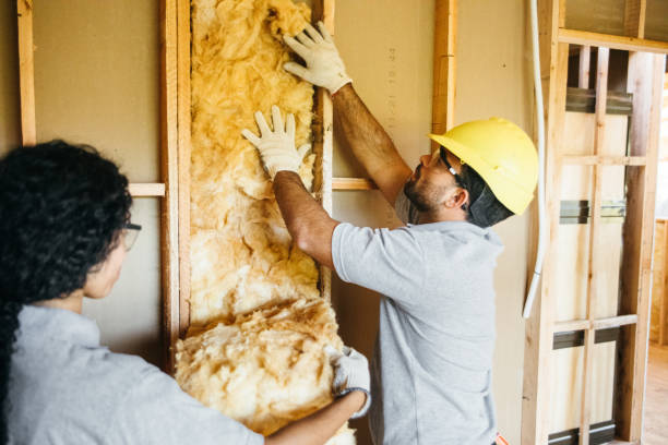 Best Cellulose Insulation  in Oak Valley, NJ