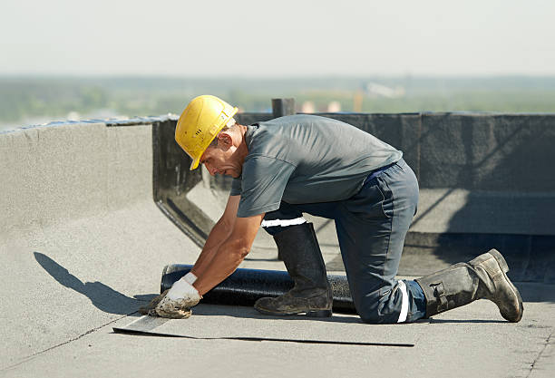 Best Spray Foam Insulation  in Oak Valley, NJ