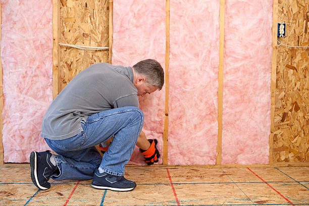 Best Attic Insulation Installation  in Oak Valley, NJ